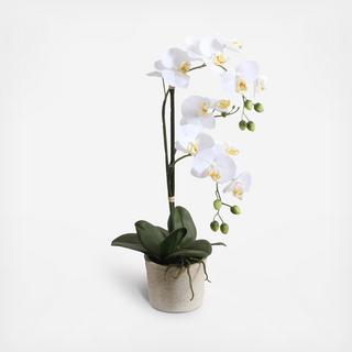 Potted Faux Orchid Plant