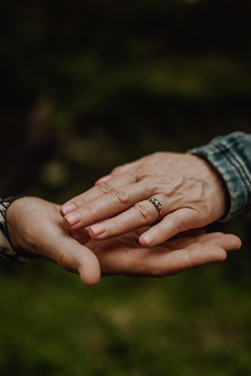 The Wedding Website of Tosha Zimmerman and Robin Spangenberg