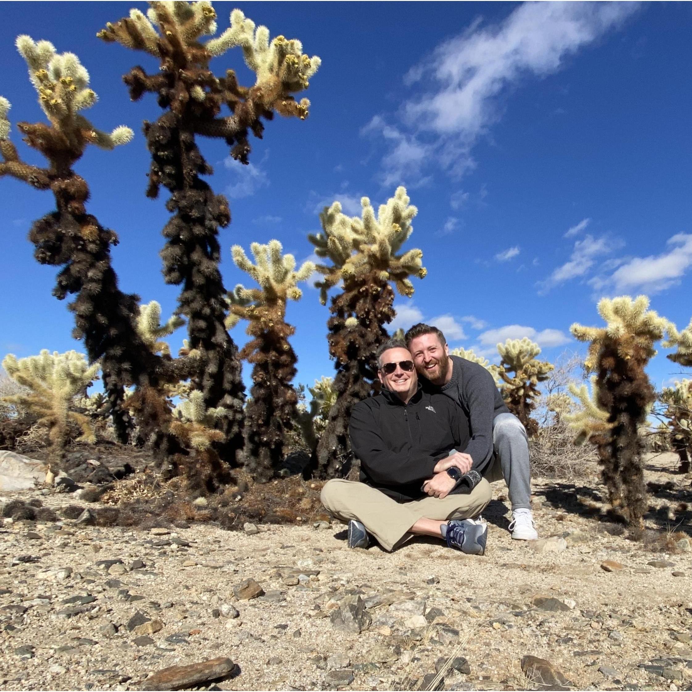 Joshua Tree, CA