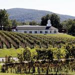 Barboursville Vineyards