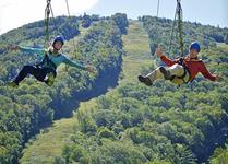 GUIDED CANOPY ZIP-LINE TOURS