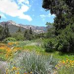 Botanic Garden