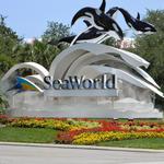 SeaWorld San Diego