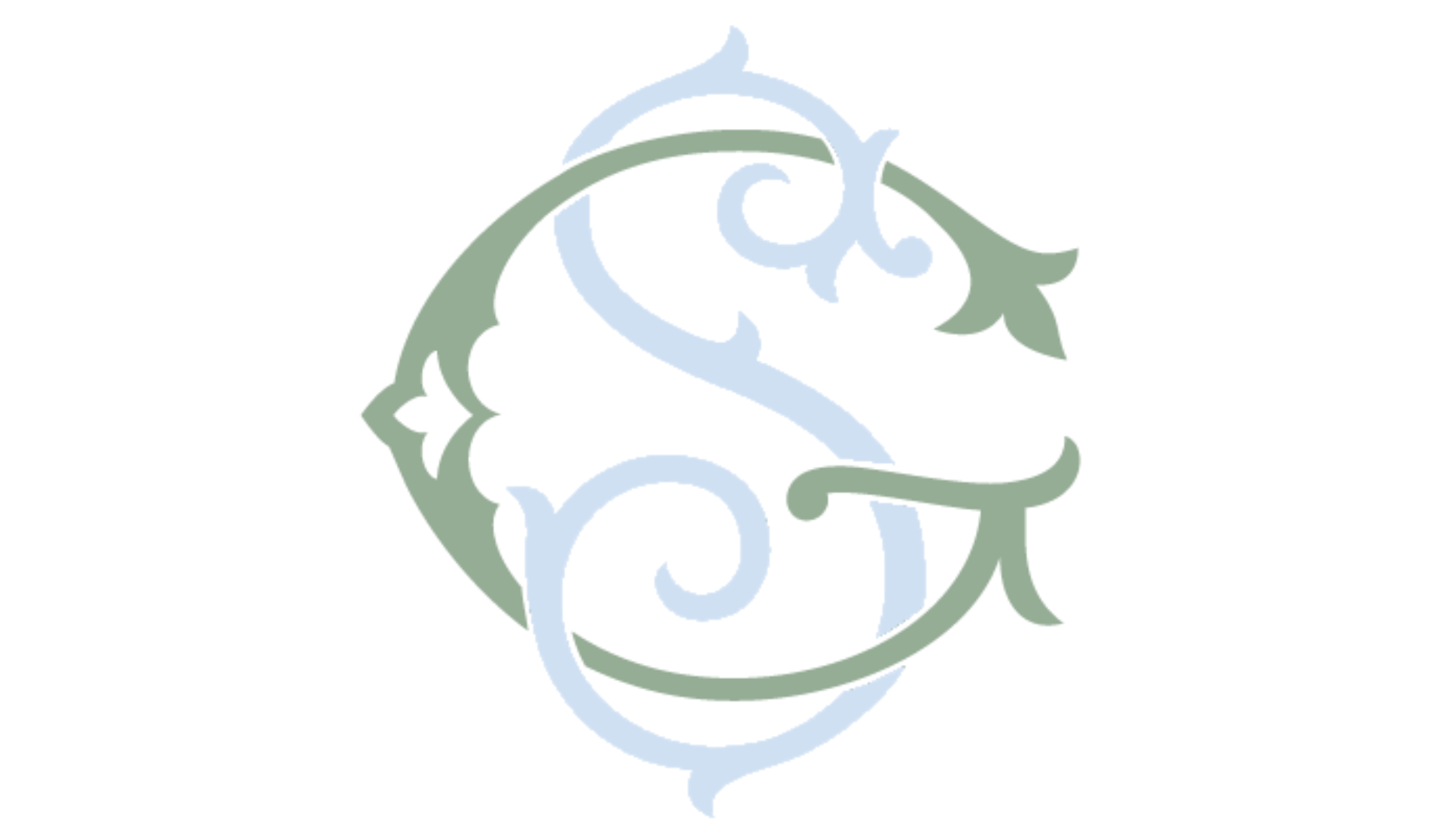 Footer image