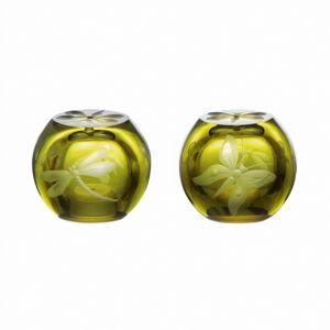 Artel Fly Fusion Crystal Salt and Pepper Set - Olive