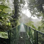 Visit: Monteverde