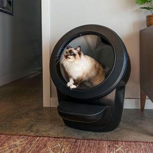 Litter Robot 4
