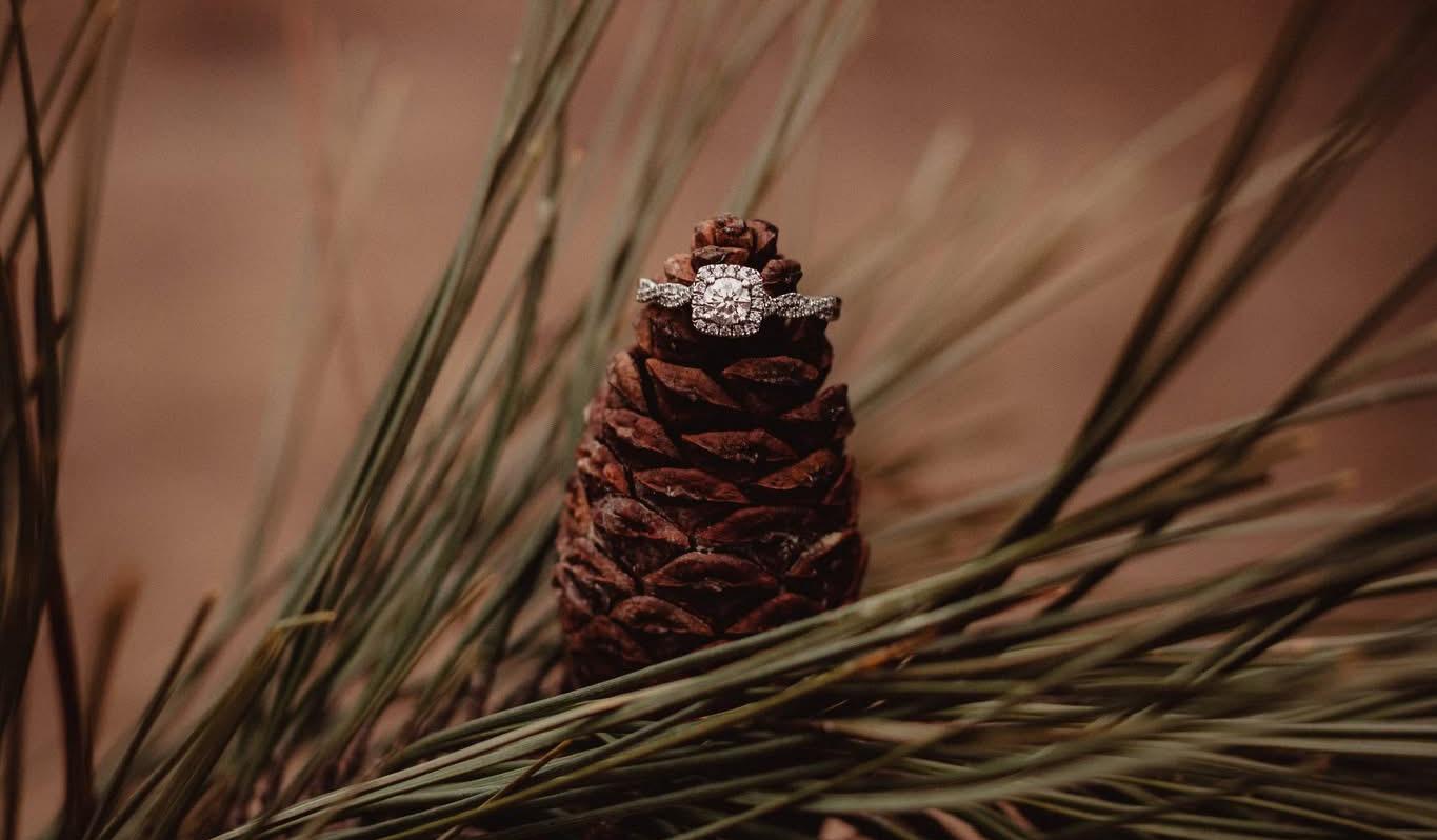 The Wedding Website of Brandi Timmler and Patrick Stuttgen