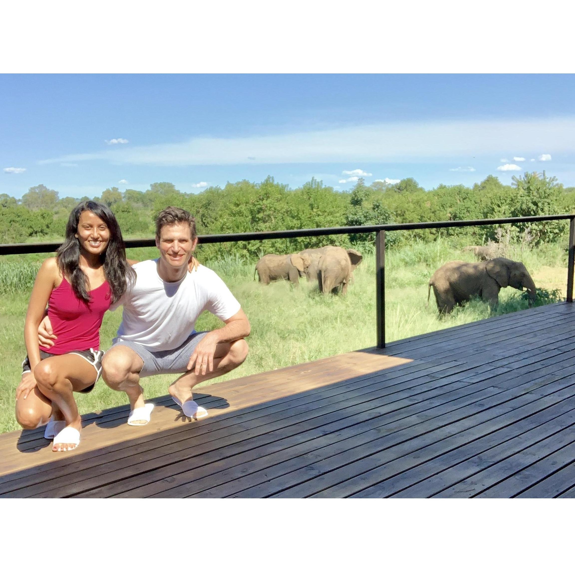 Uninvited but welcomed guests in our backyard