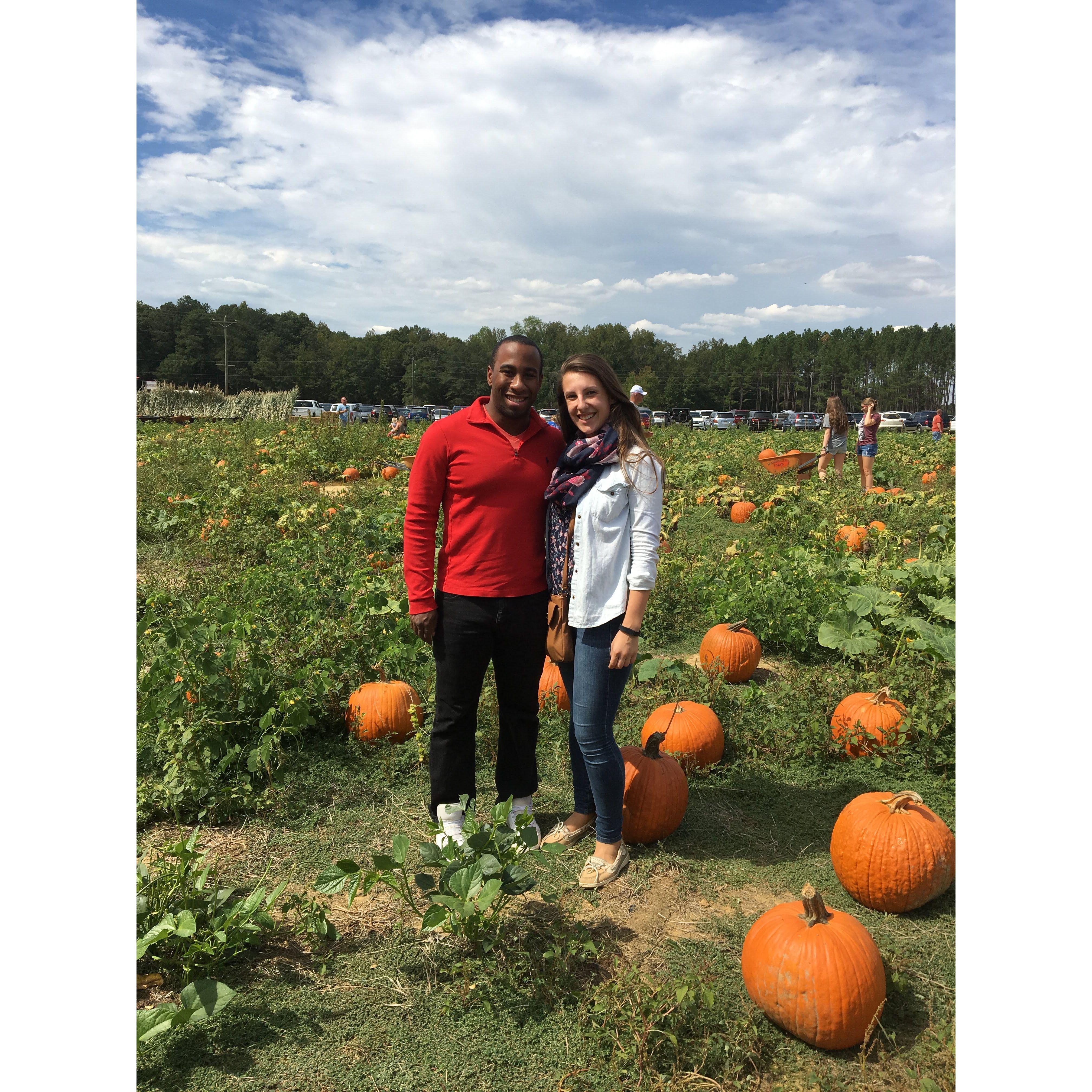 Pumpkin picking! (One of us LOVES fall activities)