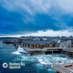 Monterey Bay Aquarium