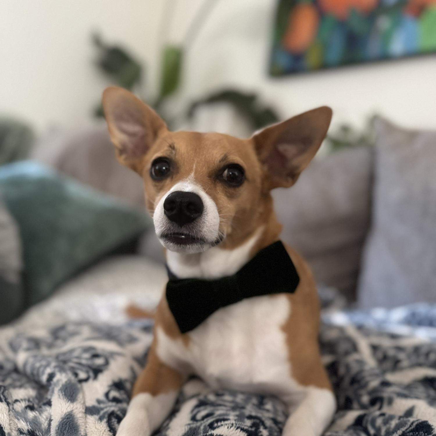 Utah ready for his closeup