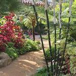 Sherman Library & Gardens