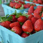 Santa Monica Farmers Market