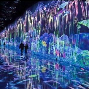 Tokyo TeamLab (Immersive Art Museum)