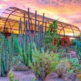 Desert Botanical Garden