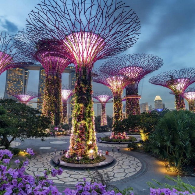 Singapore Gardens Tickets