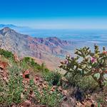 Franklin Mountains State Park