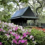 Descanso Gardens