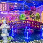 Bellagio Conservatory & Botanical Gardens