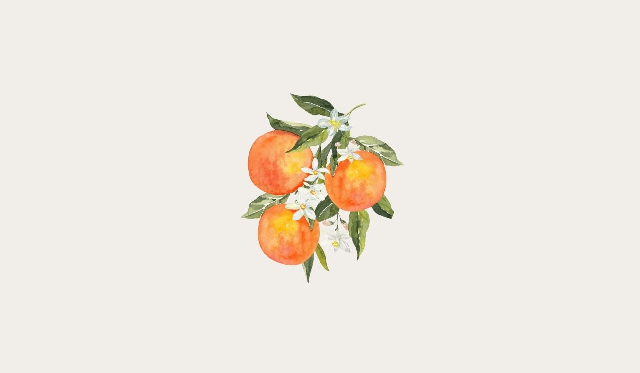 Footer image
