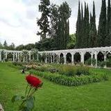 Lacy Park