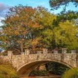 Norfolk Botanical Garden