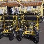 Shields Bike Rentals