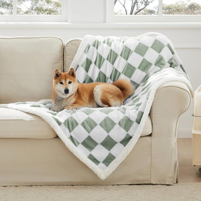 Ohocut Checkered Dog Blanket, Sage Green Jacquard Sherpa Blankets for Small Dog and Cats, Cute Aesthetic Style Fluffy Fleece Pets Blanket for Couch Protection Washable, 25"x35"