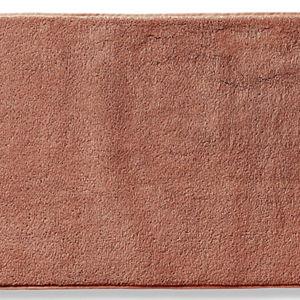 Frontgate Resort Collection Bath Mat: Terracotta