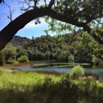 Phoenix Lake Trail