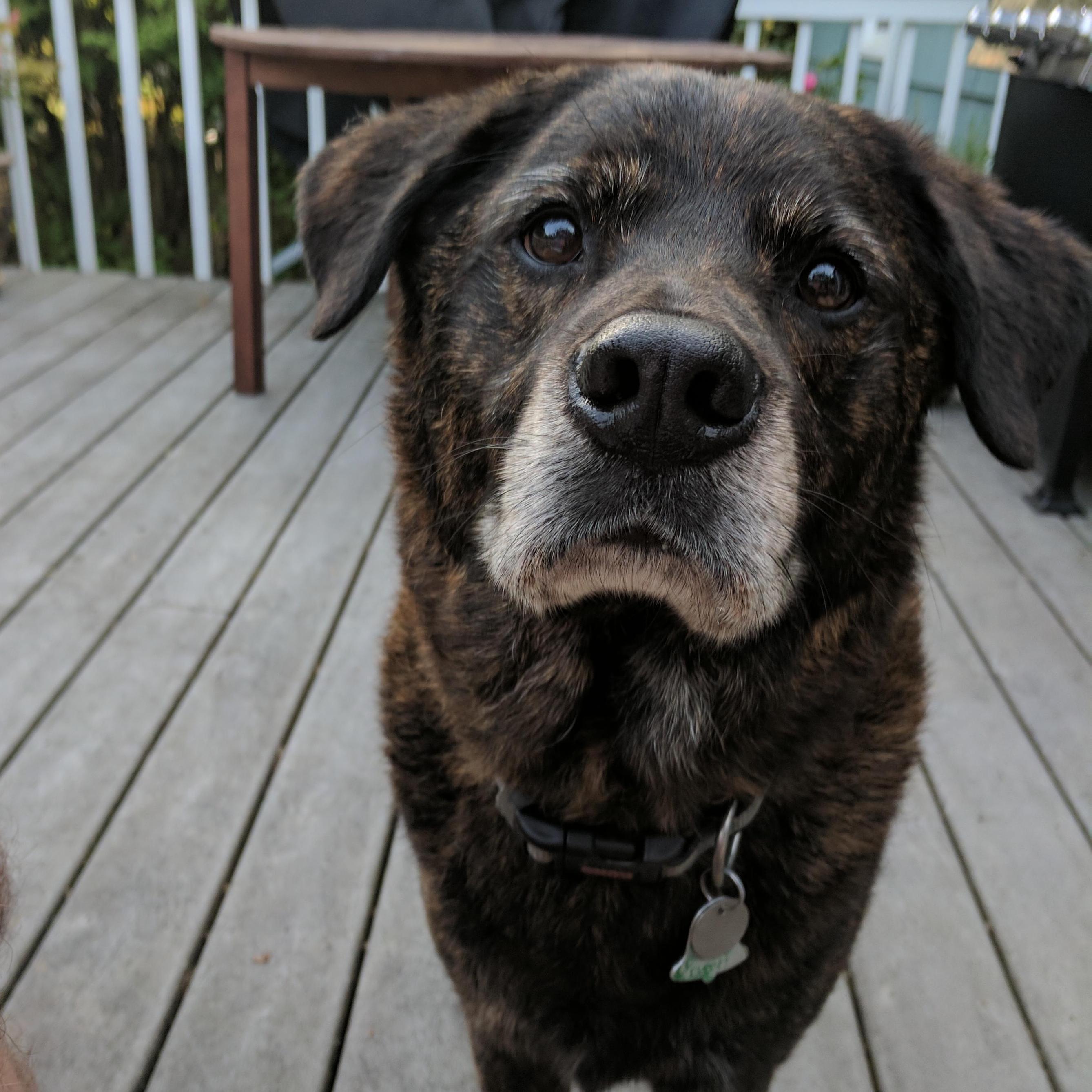 Could Jeff have captured Kathryn's heart without Eddie's help? We'll never know. Because look at that face.