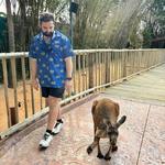 Busch Gardens Tampa Bay