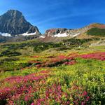 Logan Pass Visitor Center