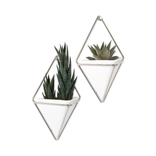 Umbra Small Trigg Wall Display, Set of 2