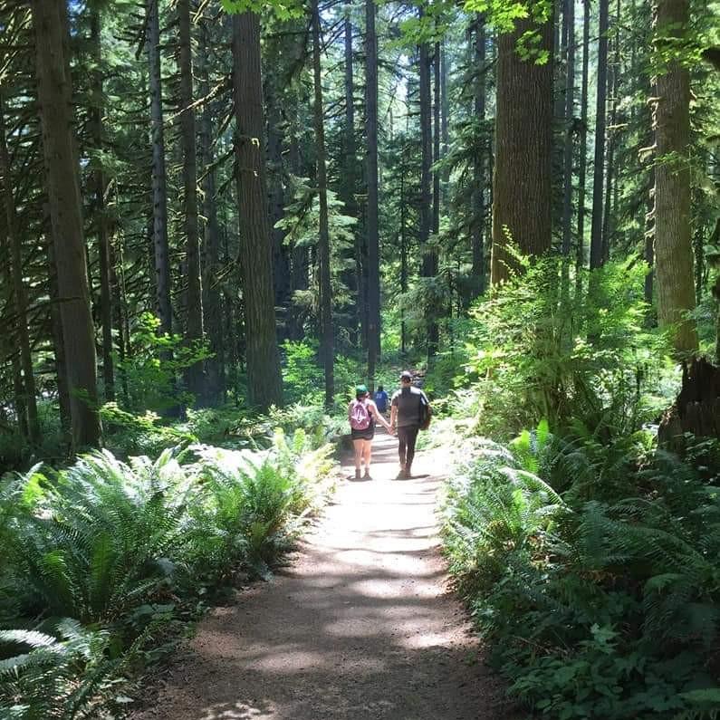 Silver Falls hike. (2018)