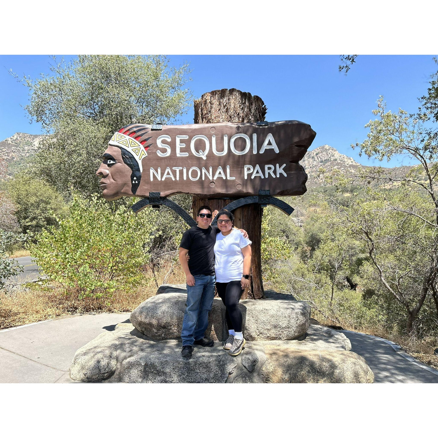 Sequoia, 2024
