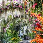 New York Botanical Garden