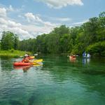 Kayaking in Ichetucknee Springs