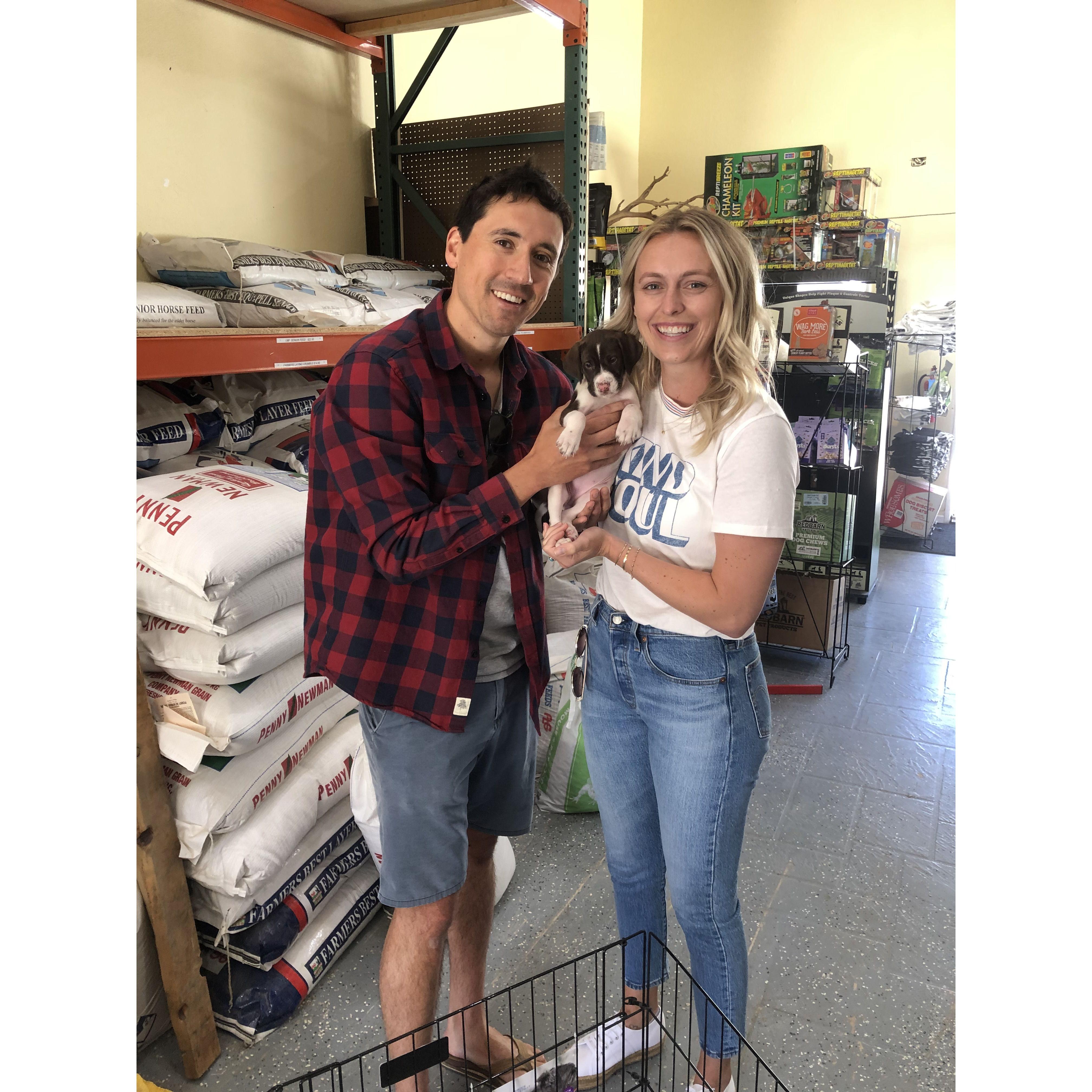 Picking out Wrigley from the breeder | May '20