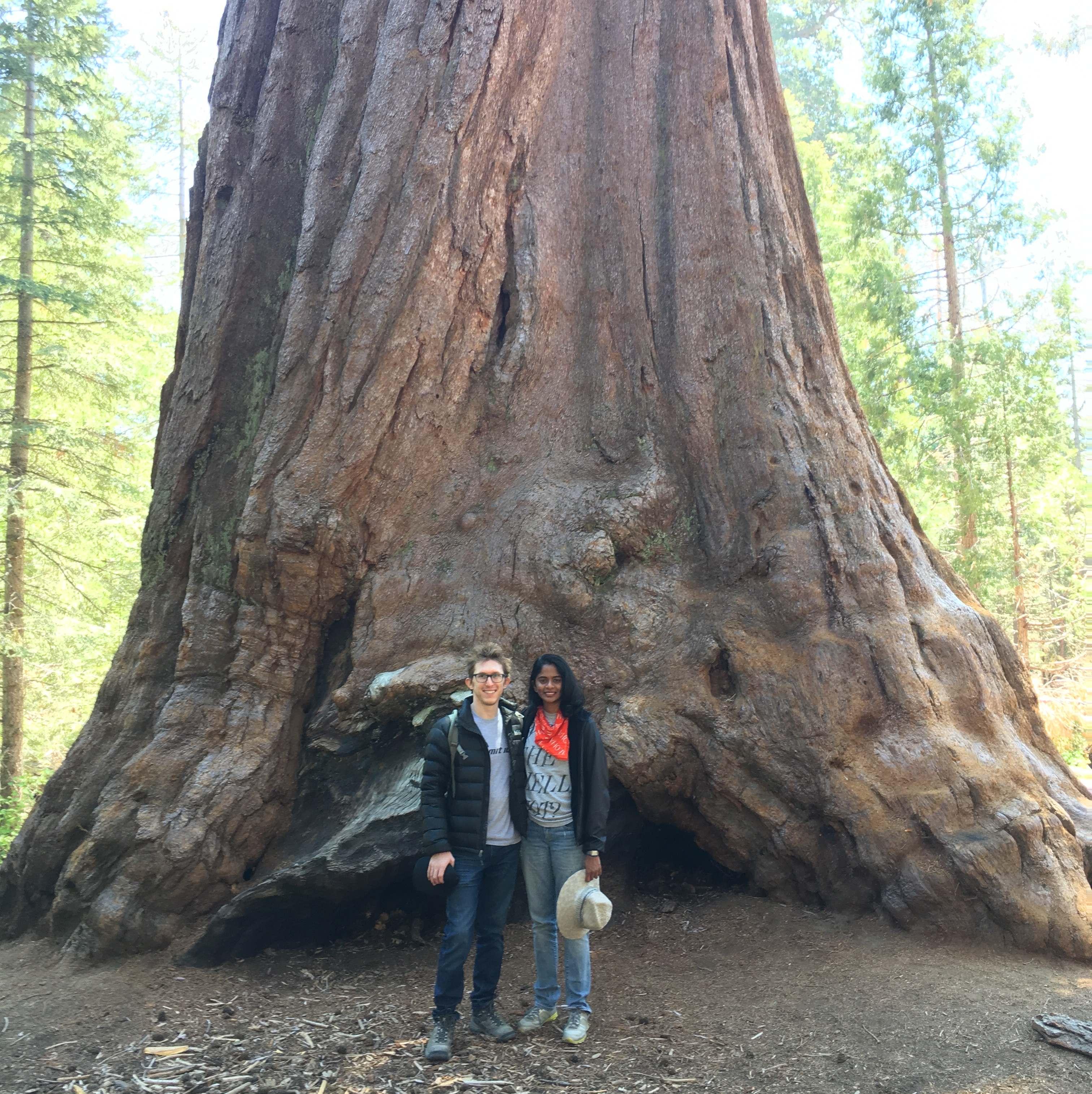 Sequoia National Park, May 2018