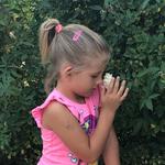 ABQ BioPark - Botanic Garden