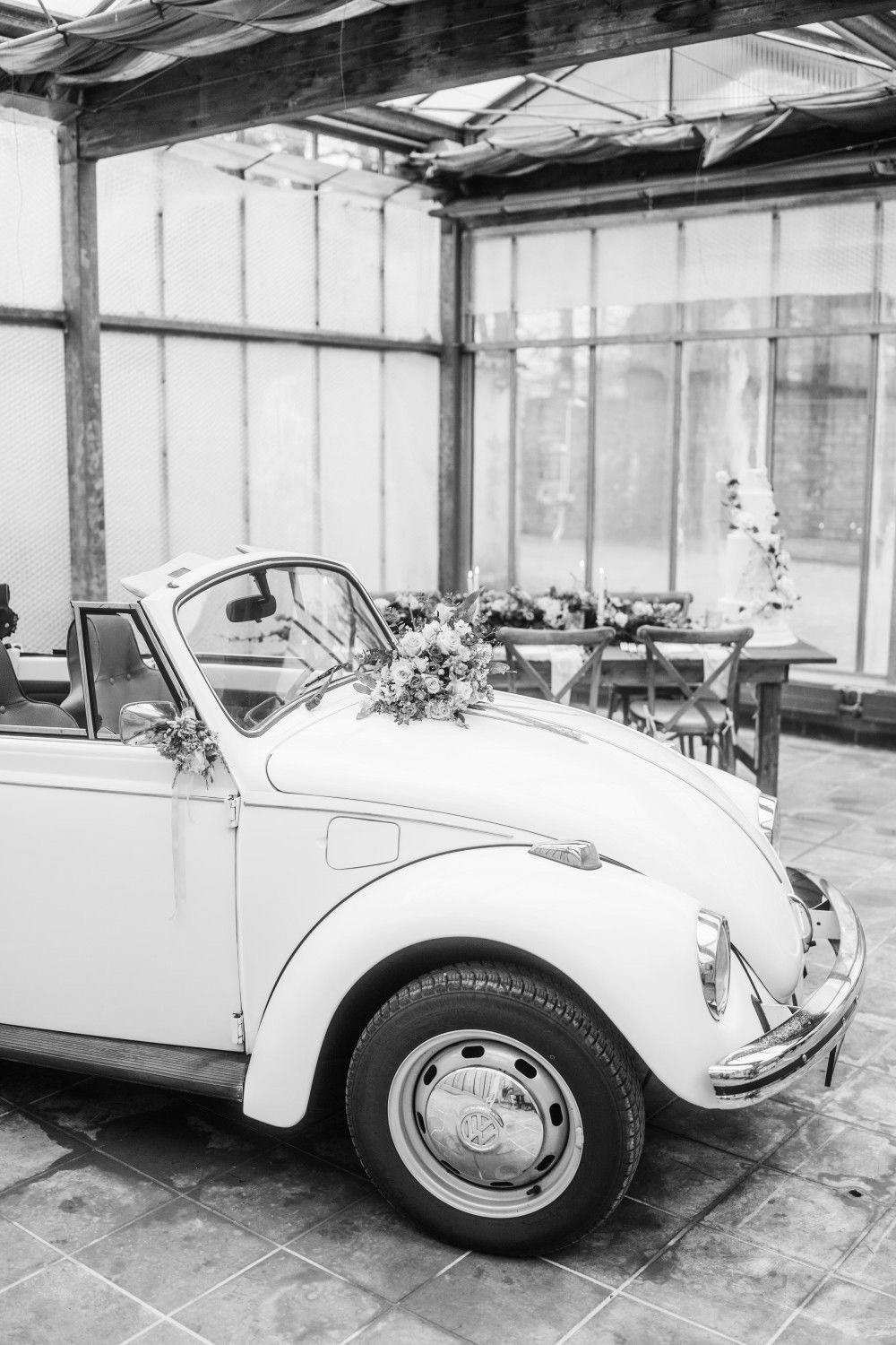 The Wedding Website of Abi Pavan and Alex Lorance