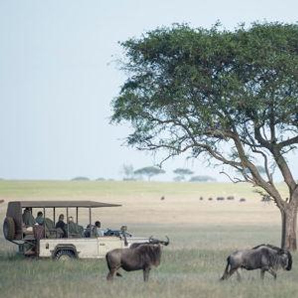 Our Tanzania Fund