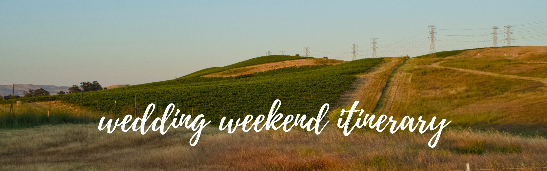 The Wedding Website of Emily Reed and Cameron Thomas