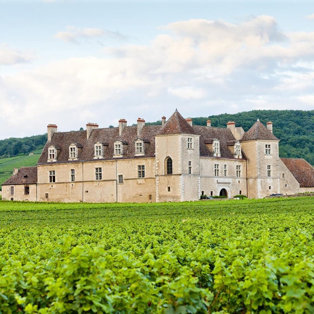 Beaune Wine Tastings