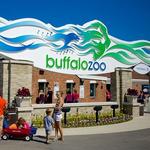 The Buffalo Zoo