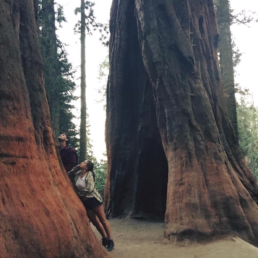 Sequoia National Park