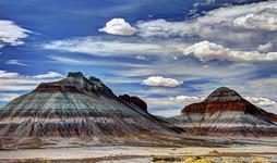 Petrified Forest National Park