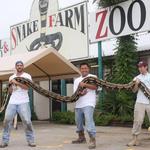 Animal World & Snake Farm Zoo
